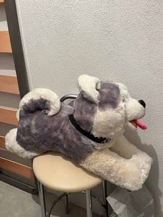 Peluche perro husky grande