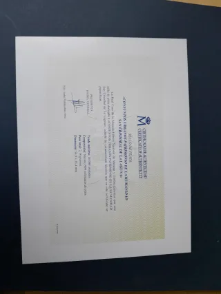 Prueba de artista de Correos año 2022