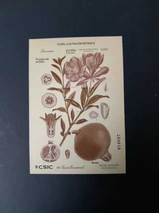 Prueba de artista de Correos año 2022