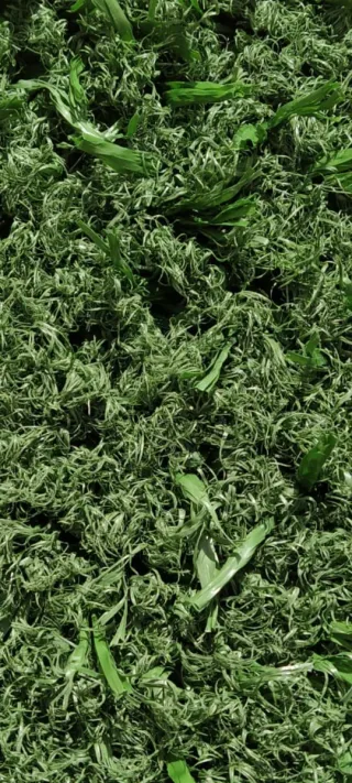 Césped artificial para exteriores