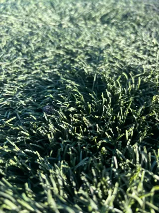 Césped artificial para exteriores