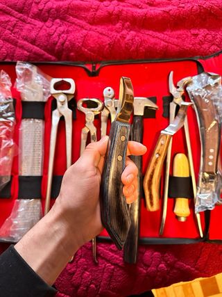 Herramientas Herrador Caballos Set Completo