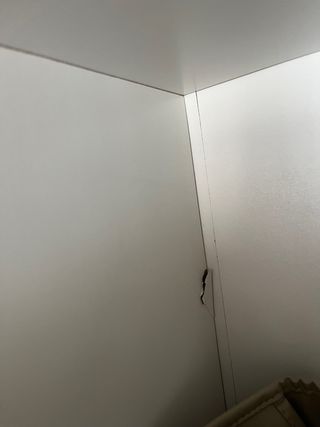 Armario blanco 3 puertas con espejo