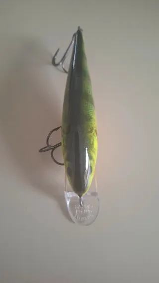 Salmo Executor 12 Shallow Runner