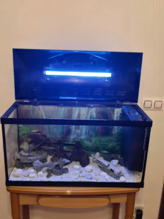 ÚRGE. Acuario 100L Completo