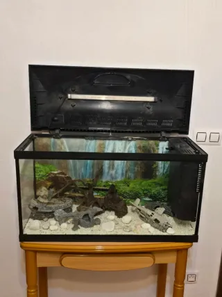 ÚRGE. Acuario 100L Completo