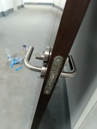 Puerta de interior madera oscura