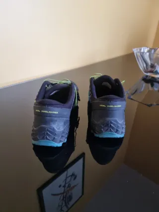 Dynafit Feline SL Zapatillas Trail Running