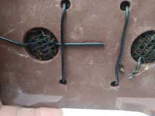 Bonsái conífera trabajos realizados