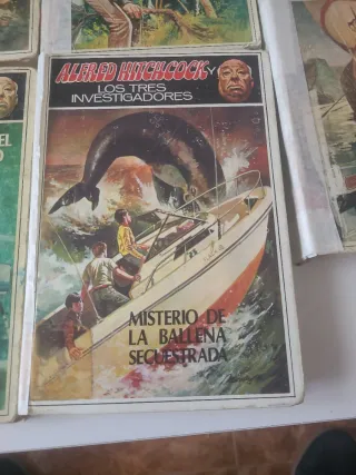 MISTERIO DE LA BALLENA SECUESTRADA