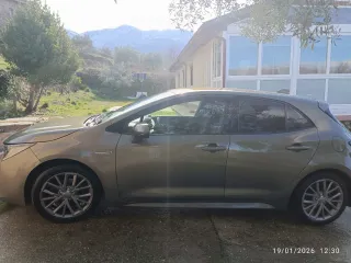 Toyota Corolla 2019