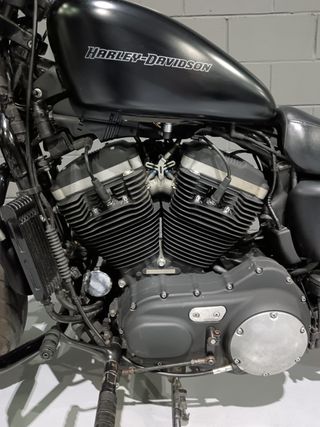 Harley Davidson Sportster Iron 883