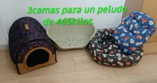 3 camas para perro/gato