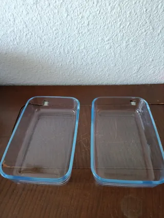 2 bandejas cristal horno 20x13x5 cm