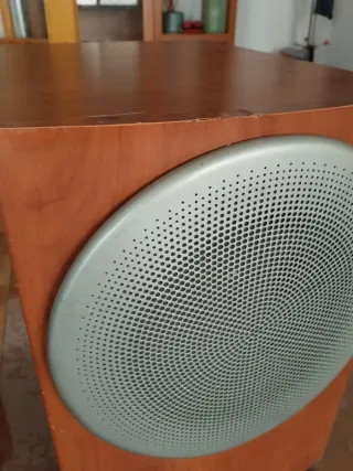 Subwoofer Infinity HCS Sub/230  Marrón/Plata