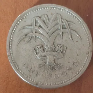 Moneta One Pound con Corona e Palme