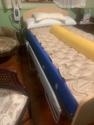 Cama sanitaria ajustable