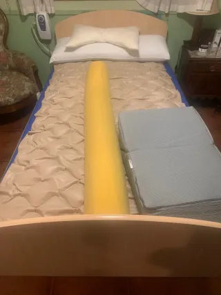 Cama sanitaria ajustable