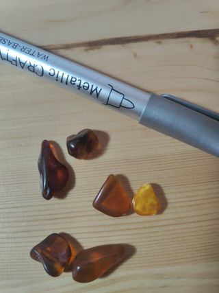 Lote 9 Fósiles: Amonites y Dientes Tiburón