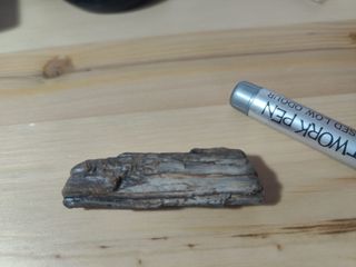 Lote 9 Fósiles: Amonites y Dientes Tiburón