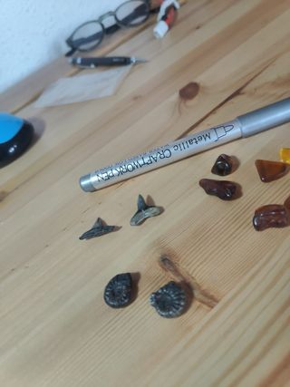 Lote 9 Fósiles: Amonites y Dientes Tiburón