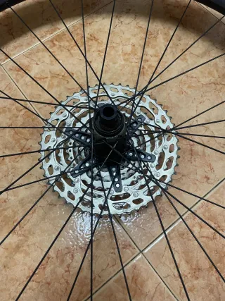 Rueda DT Swiss E1900 trasera