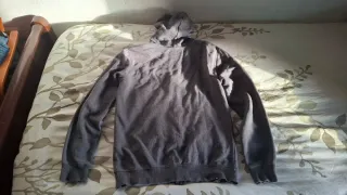 Sudadera DC Gris con Logo Rojo