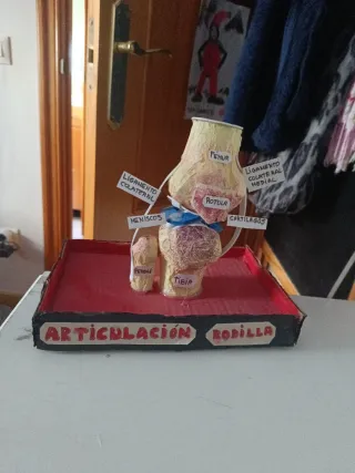 Maqueta de rodilla hecha a mano
