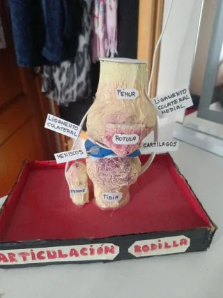Maqueta de rodilla hecha a mano
