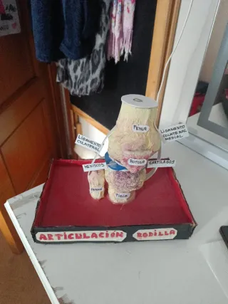 Maqueta de rodilla hecha a mano