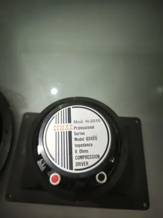 Altavoz Beyma y trompeta de agudos Zomax.