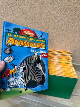 Colección Disney de Libros y DVDs