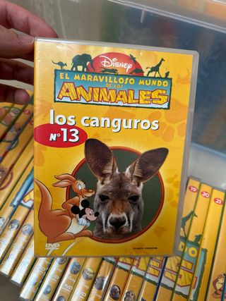 Colección Disney de Libros y DVDs