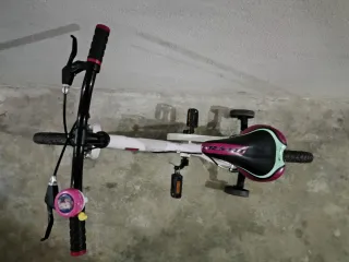 Bicicleta infantil 16 con ruedines