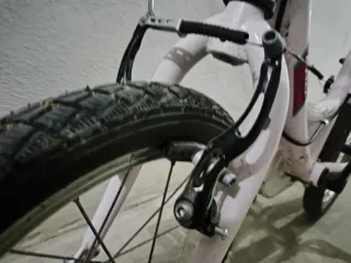 Bicicleta infantil 16 con ruedines