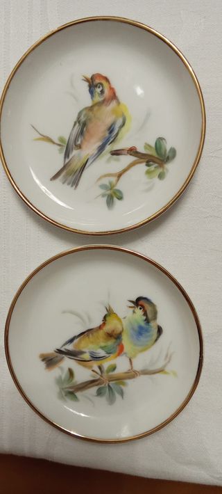 Piatti decorativi in porcellana antichi