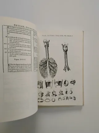 3x2 Historia de la Composición del Cuerpo Humano