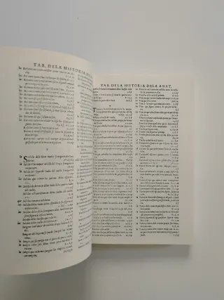 3x2 Historia de la Composición del Cuerpo Humano