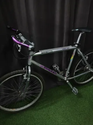 Bicicleta de Montaña