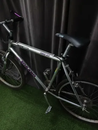 Bicicleta de Montaña