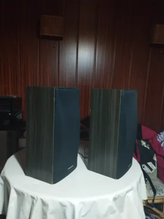 Altavoces Pioneer Negros