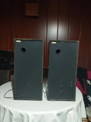 Altavoces Pioneer Negros