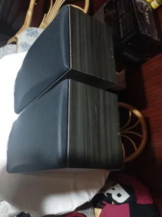 Altavoces Pioneer Negros