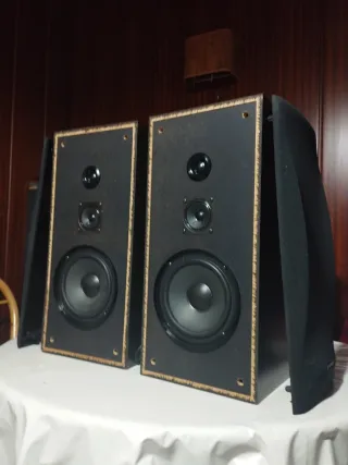 Altavoces Pioneer Negros