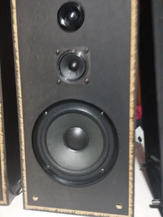 Altavoces Pioneer Negros