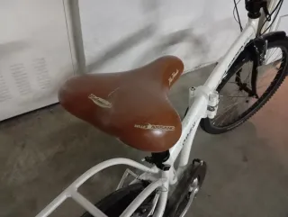 Bicicleta Plegable Boomerang Urban Live PS50