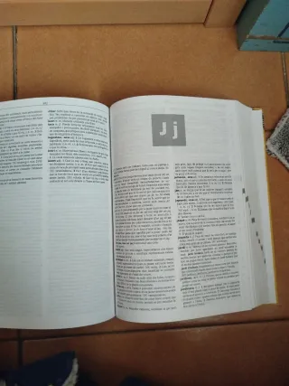 Diccionari Secundària Valencià (Diccionarios Es...