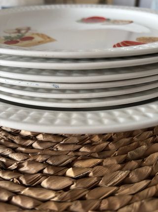 Juego 6 Platos Pontesa Vintage + Plato Grande