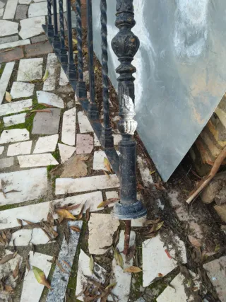 Baranda de hierro forjado