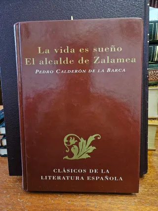 Historia de la vida del Buscón llamado Don Pabl...